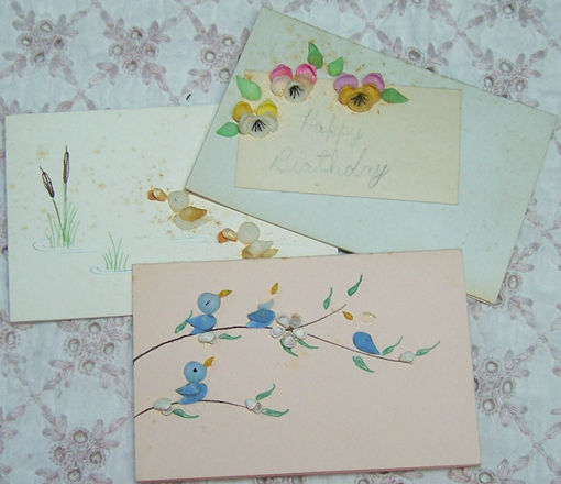 vintage greeting cards with small shells