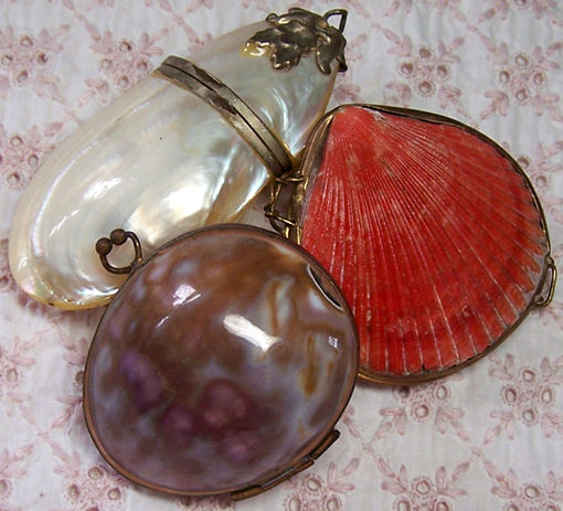 shell purses